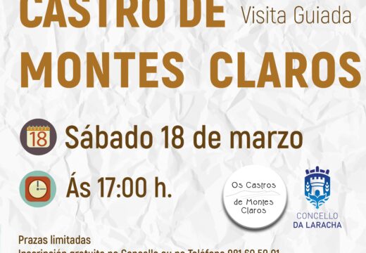 O concello organiza unha nova visita guiada ao Castro de Montes Claros